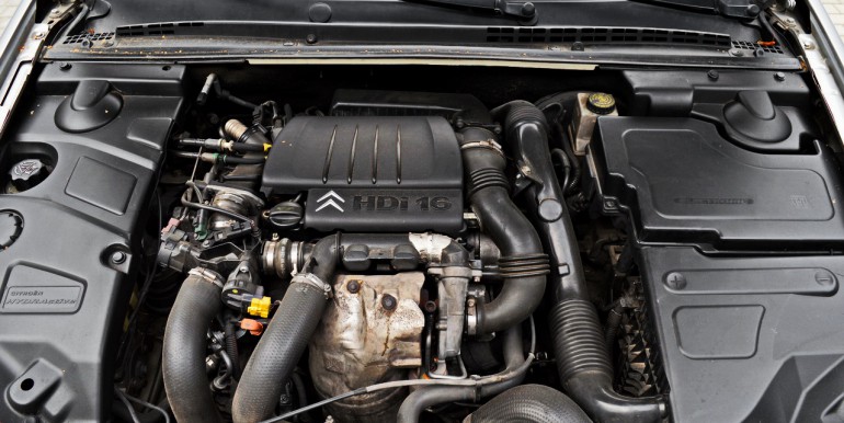 DSC_6184_новый размер