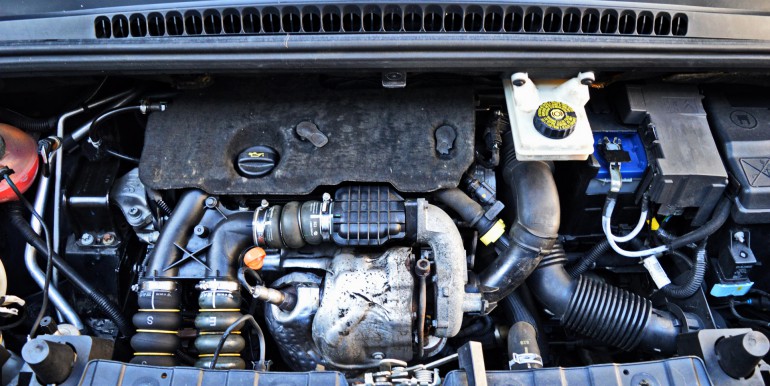 DSC_2162_новый размер