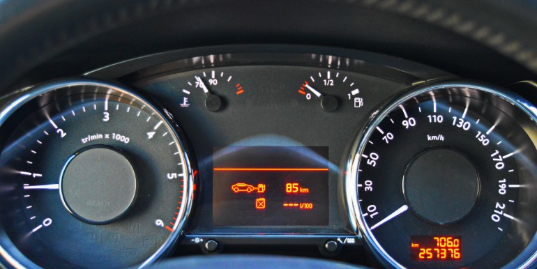 DSC_2175_новый размер