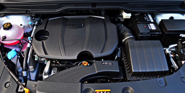 DSC_2857_новый размер