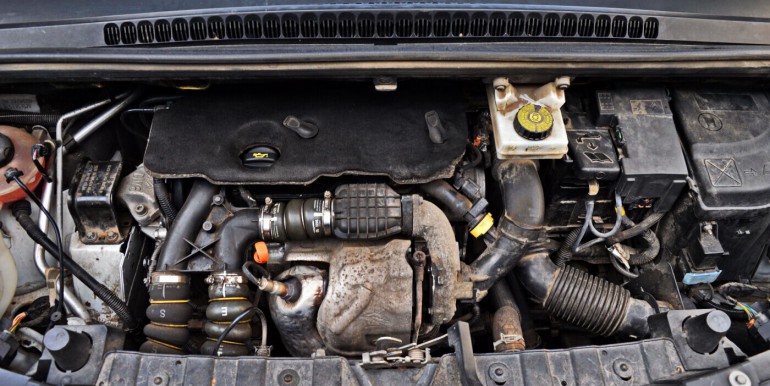 image_16_01-10-2025_18-35-28