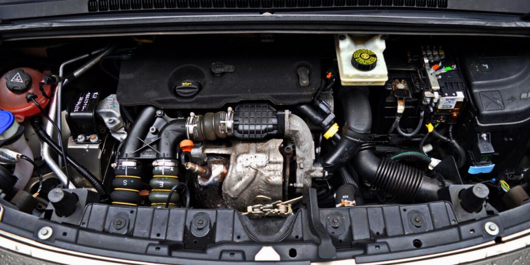 image_17_16-10-2025_12-48-14