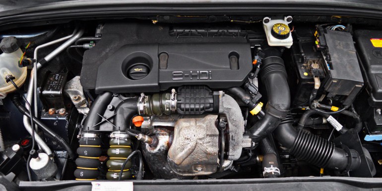 DSC_6486_новый размер