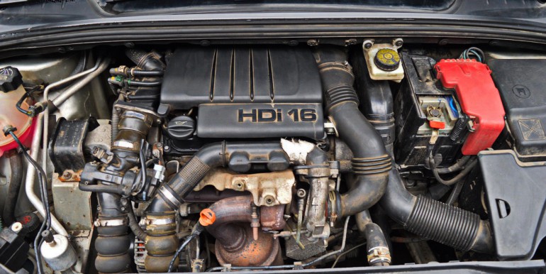 DSC_6627_новый размер