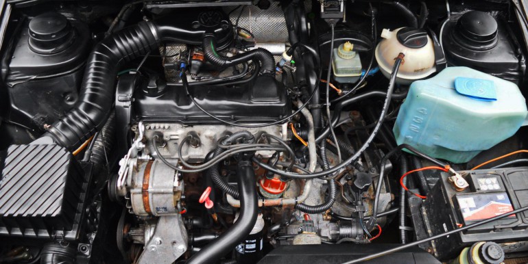 DSC_8110_новый размер