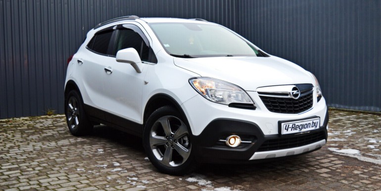 image_01_28-11-2025_12-08-47