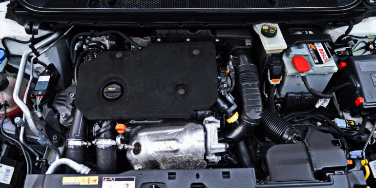 image_17_16-11-2025_11-23-19