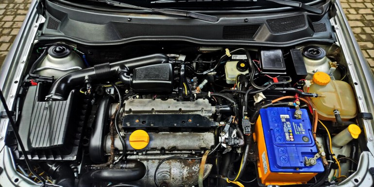 image_18_18-12-2025_09-22-35