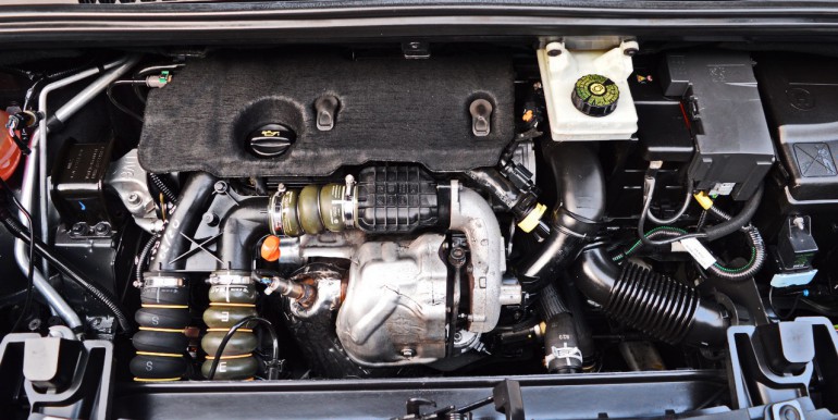 DSC_2659_новый размер