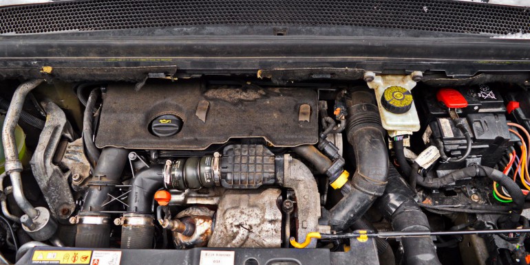 DSC_3192_новый размер