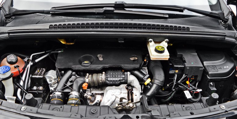 DSC_3223_новый размер