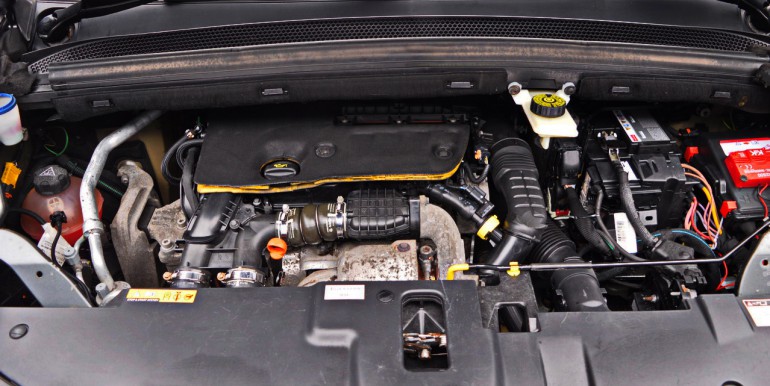 DSC_3524_новый размер