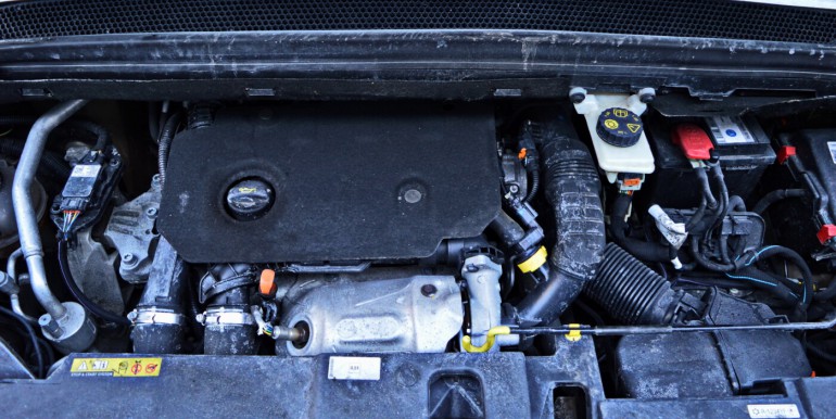 image_17_31-01-2026_15-29-17