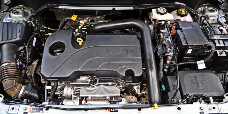 image_19_07-01-2026_14-48-41