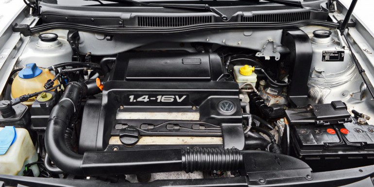 DSC_5365_новый размер