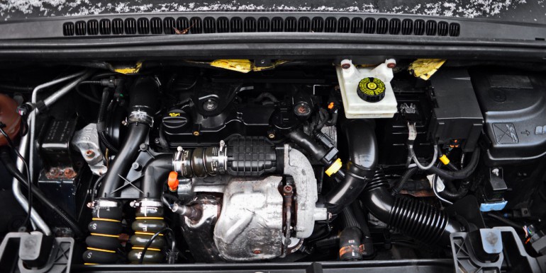 DSC_5598_новый размер