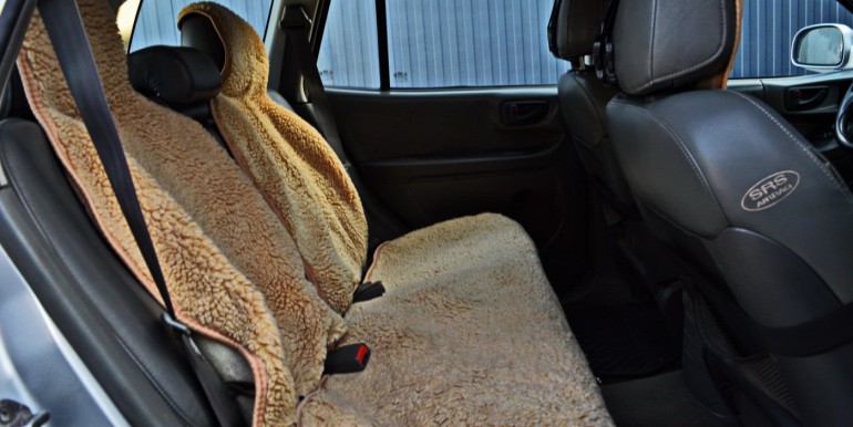 image_11_28-02-2026_17-04-30