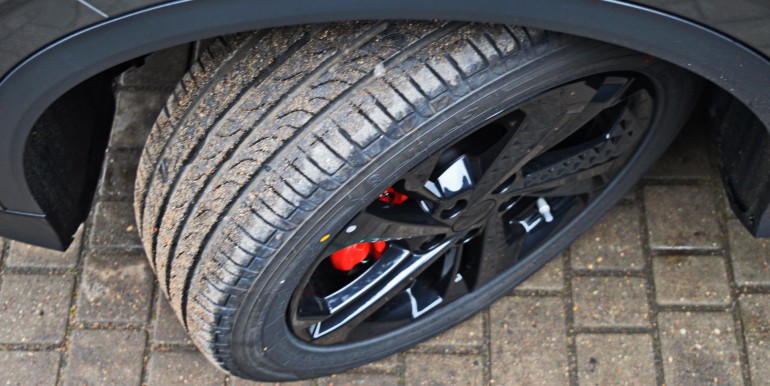 DSC_3719_новый размер