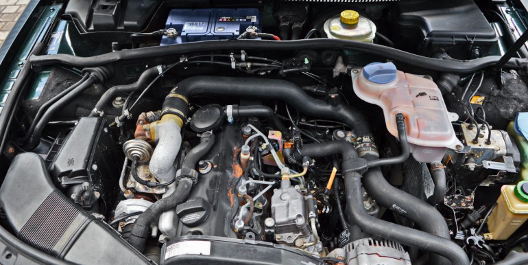 DSC_8272_новый размер