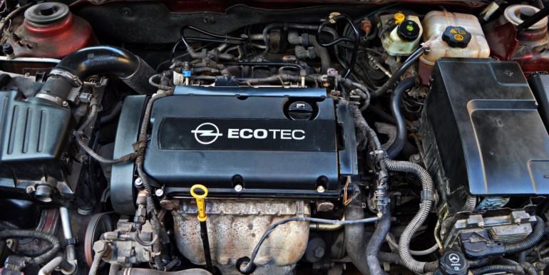 image_17_13-03-2026_10-40-29