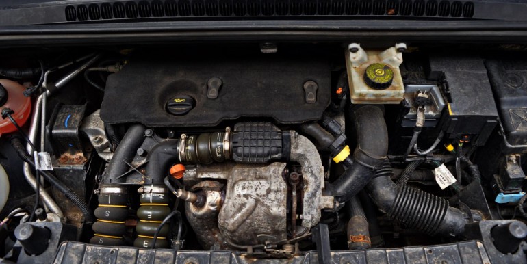 image_17_19-03-2026_10-12-02