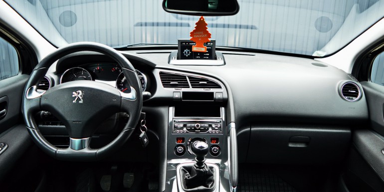 DSC_1083_новый размер