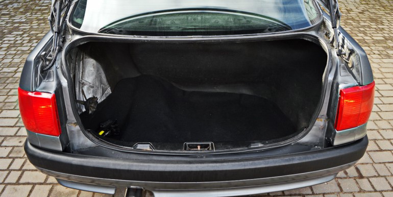 DSC_1479_новый размер