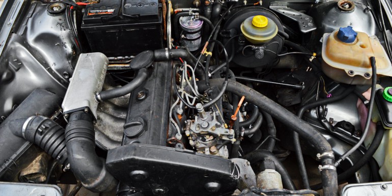 DSC_1484_новый размер