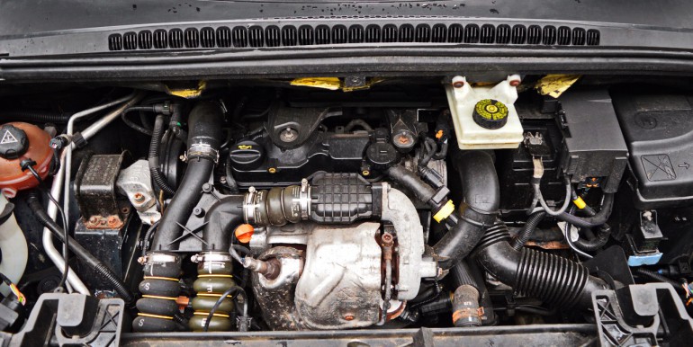 DSC_2073_новый размер