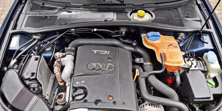 DSC_2101_новый размер