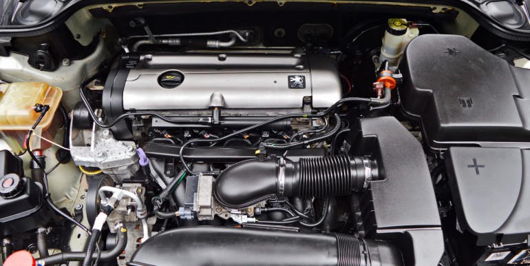 DSC_2128_новый размер